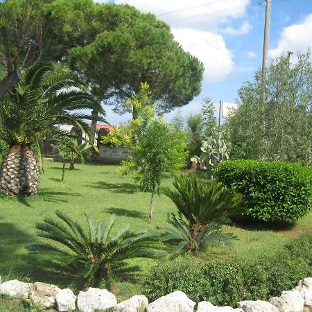Campi Salentina Villa Rita Bed & Breakfast المظهر الخارجي الصورة